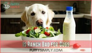 is ranch bad for dogs