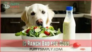 is ranch bad for dogs