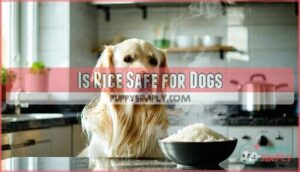 is rice safe for dogs