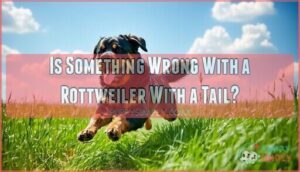 is something wrong with a rottweiler with a tail
