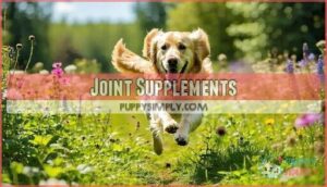 joint supplements