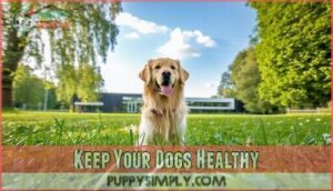 keep your dogs healthy