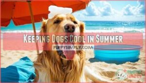 keeping dogs cool in summer