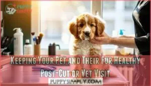 keeping your pet and their fur healthy post-cut or vet visit