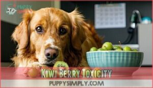 kiwi berry toxicity