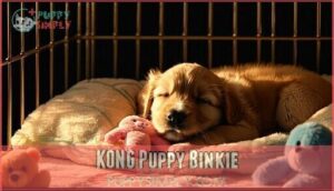 kong puppy binkie