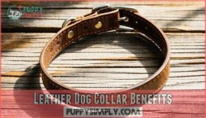leather dog collar benefits