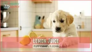 lemon juice
