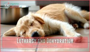 lethargy and dehydration