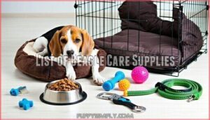 list of beagle care supplies