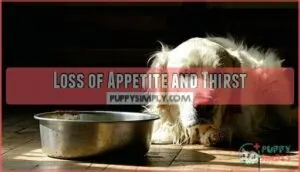 loss of appetite and thirst