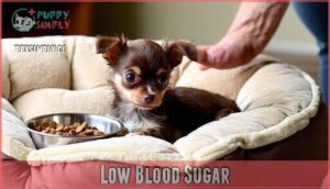 low blood sugar