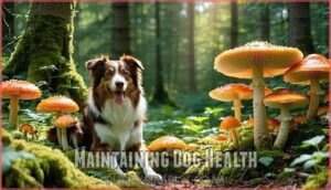 maintaining dog health