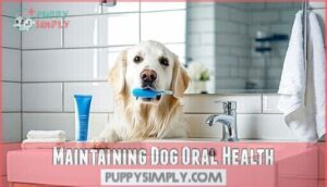 maintaining dog oral health