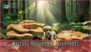 maitake mushroom advantages