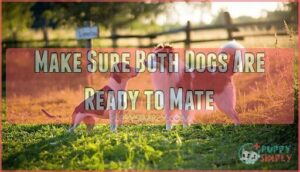 make sure both dogs are ready to mate