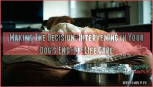 making the decision: intervening in your dog's end-of-life care