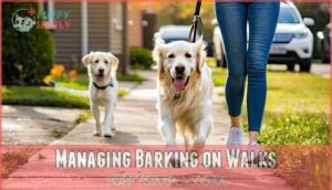 managing barking on walks