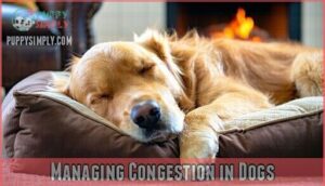 managing congestion in dogs