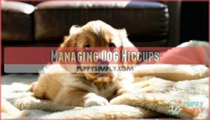 managing dog hiccups