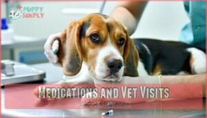 medications and vet visits