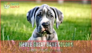 merle great dane colors