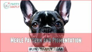 merle pattern and pigmentation
