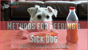 methods for feeding a sick dog
