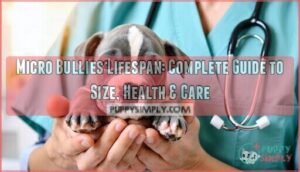 micro bullies lifespan