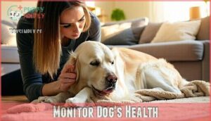 monitor dog's health