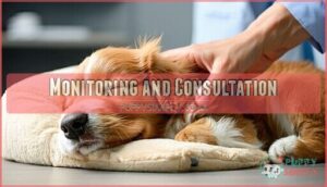 monitoring and consultation