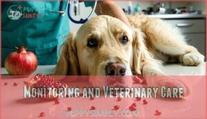 monitoring and veterinary care