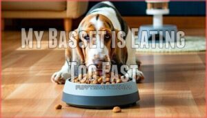 my basset is eating too fast