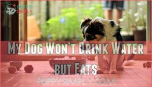 my dog won’t drink water but eats