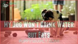 my dog won’t drink water but eats my dog won’t drink water but eats