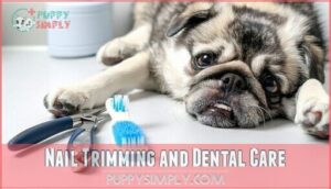 nail trimming and dental care