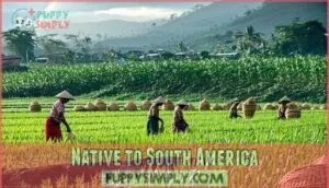 native to south america