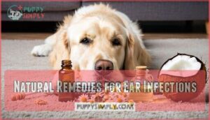 natural remedies for ear infections