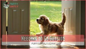needing to go outside