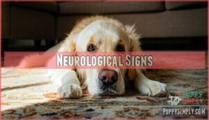 neurological signs