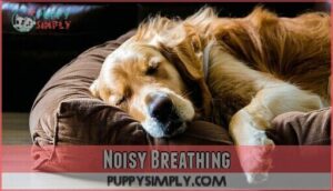 noisy breathing