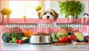 nutrition and feeding requirements
