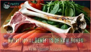 nutritional benefits of raw bones