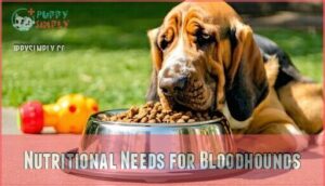 nutritional needs for bloodhounds