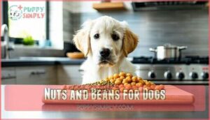 nuts and beans for dogs