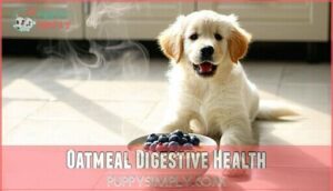 oatmeal digestive health