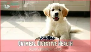 oatmeal digestive health oatmeal digestive health