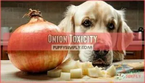 onion toxicity