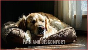 pain and discomfort