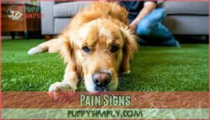 pain signs